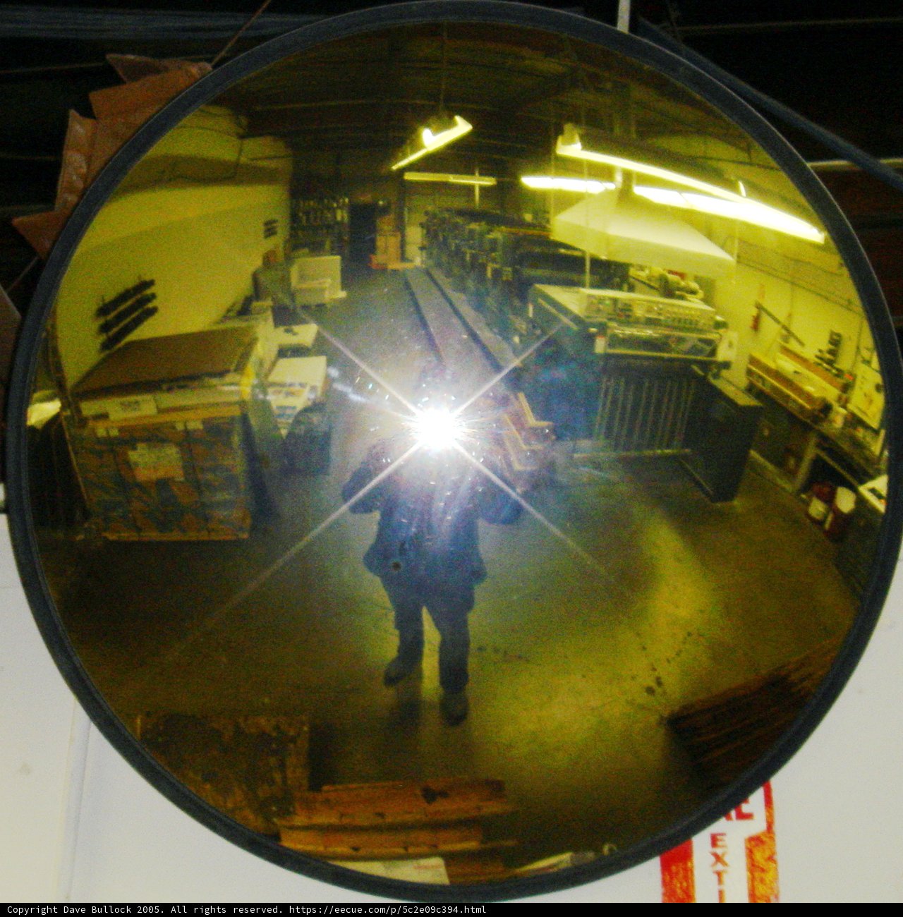 Self-Portrait Reflection