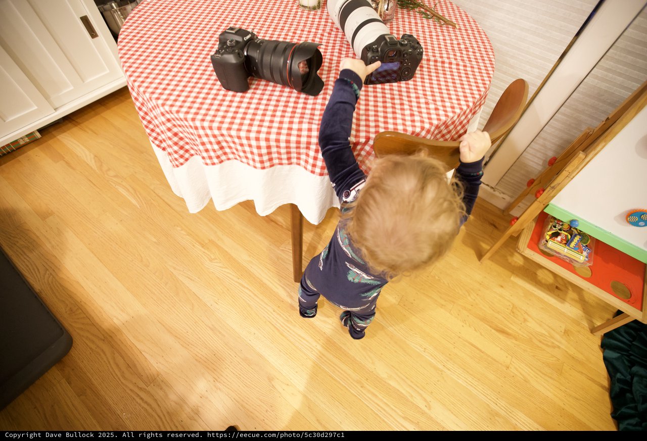 Young Child Reaching for Professional Camera Equipment