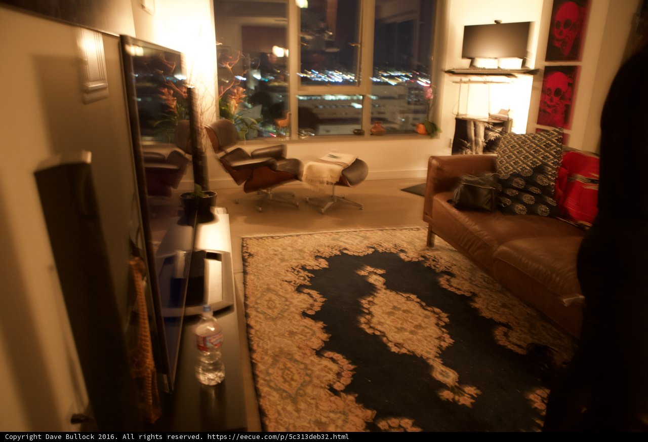 Relaxing in the Living Room