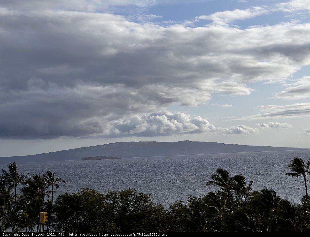 Majestic Ocean View