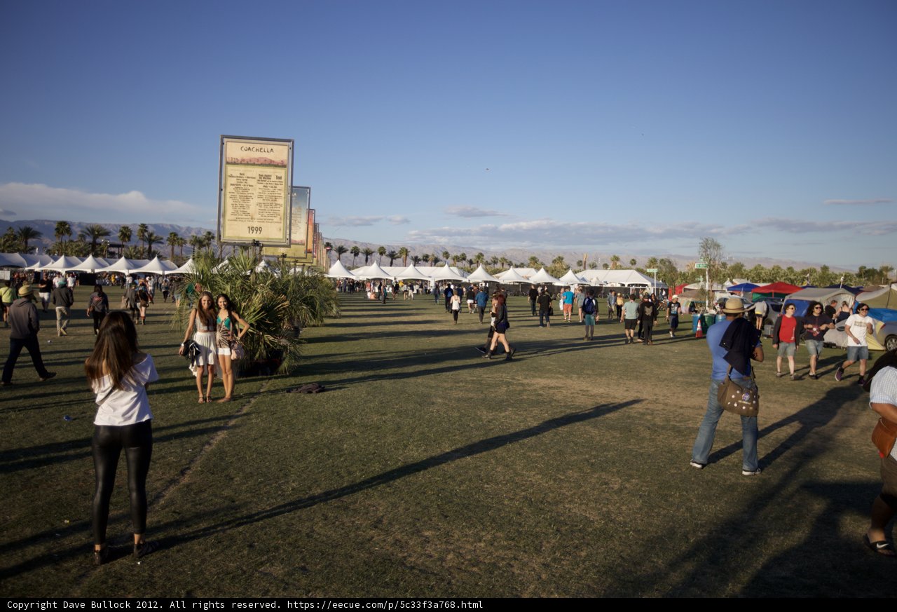 Coachella-goers Enjoying the Outdoors