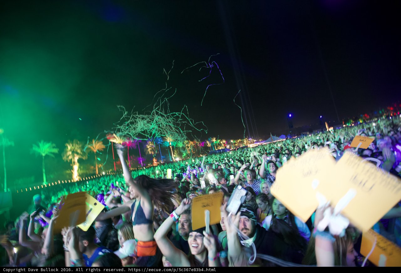 Electrifying Concert Vibes