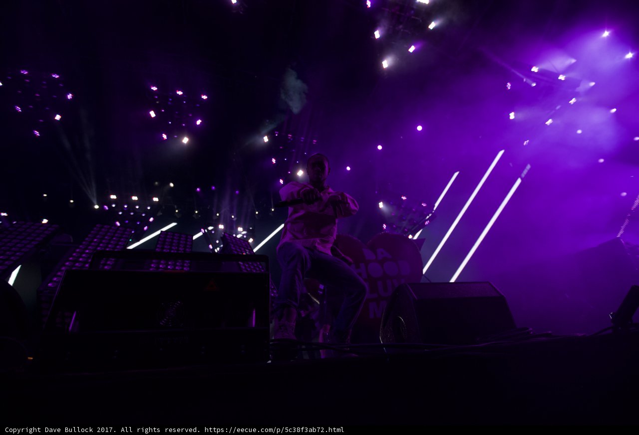 Purple Haze
