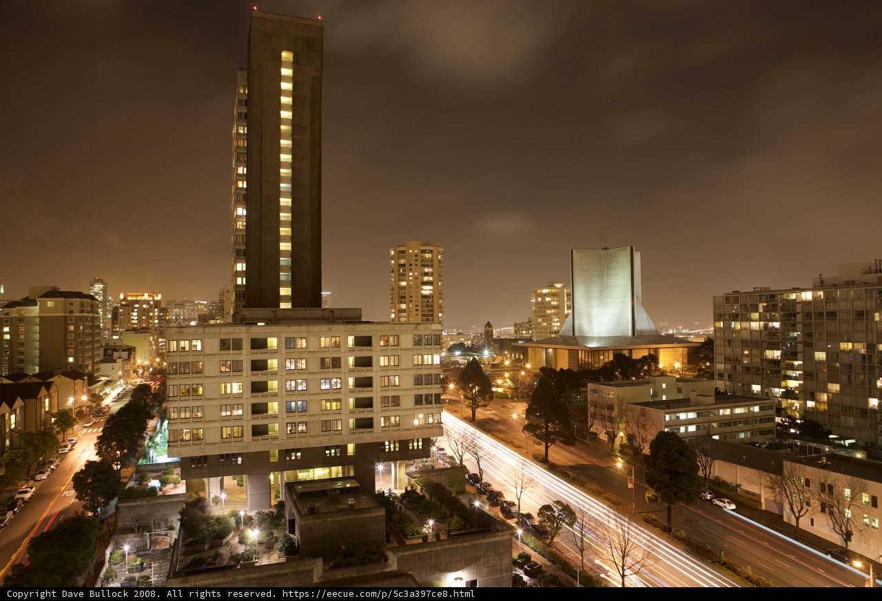 The Urban Jungle