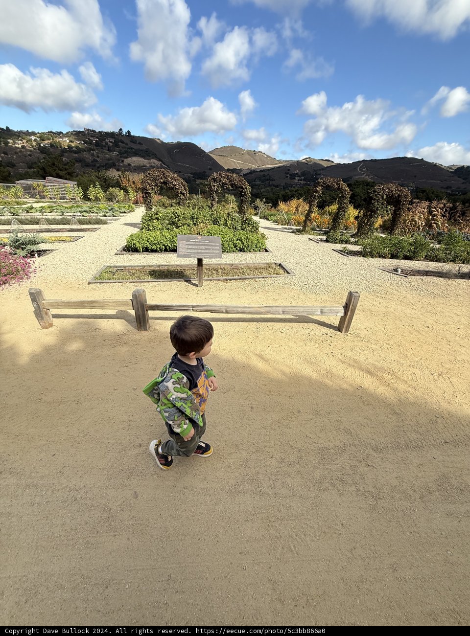 Exploring Nature's Path