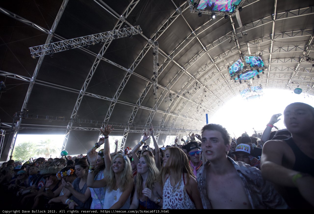 Thrilled Crowd at Coachella
