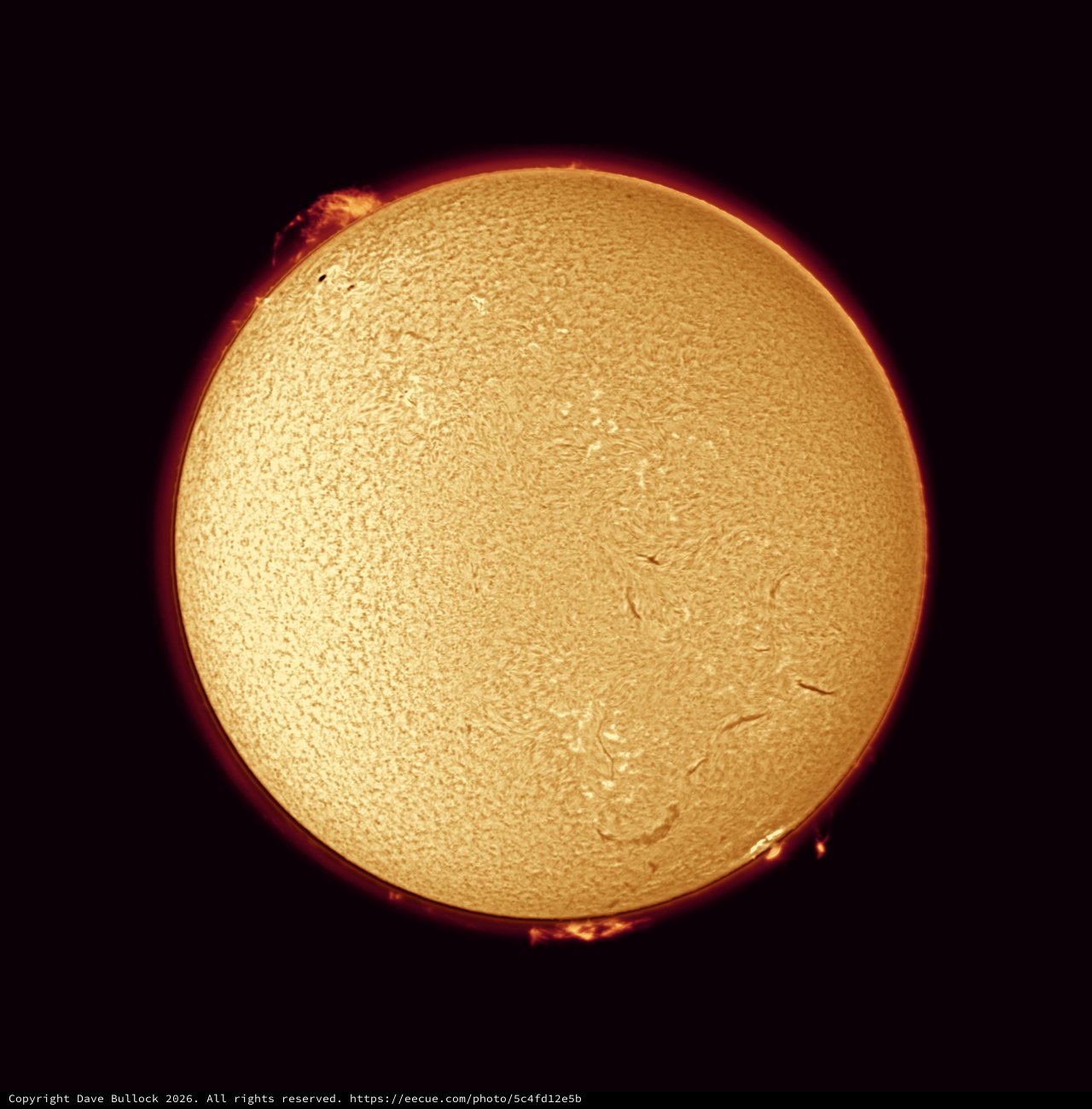 Solar Chromosphere in Hydrogen-Alpha Light
