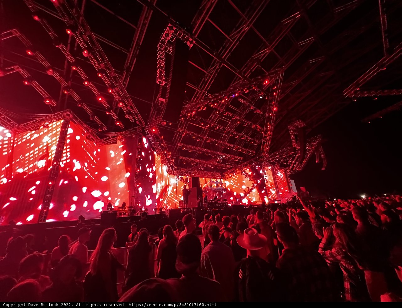 Red-Lit Rapture at Rock Concert