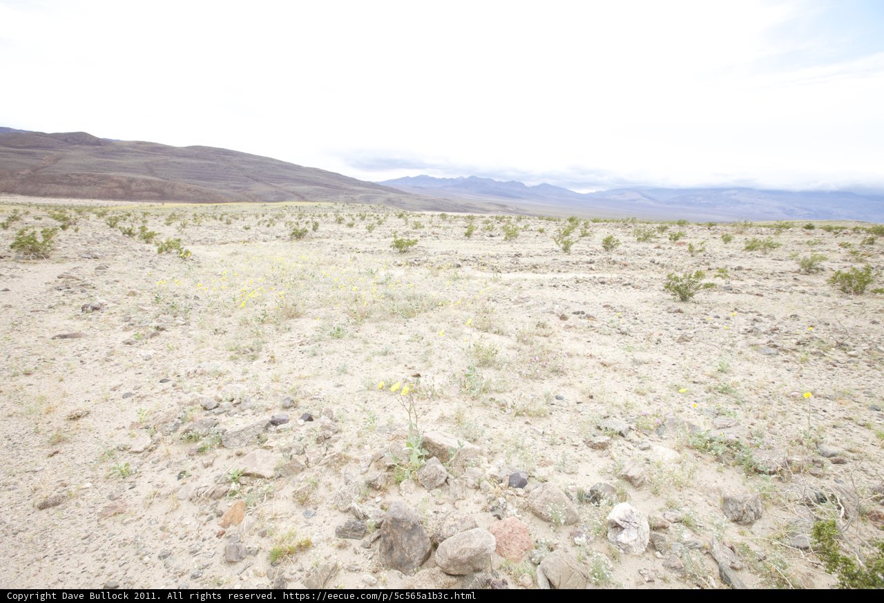 Majestic View of the Desert