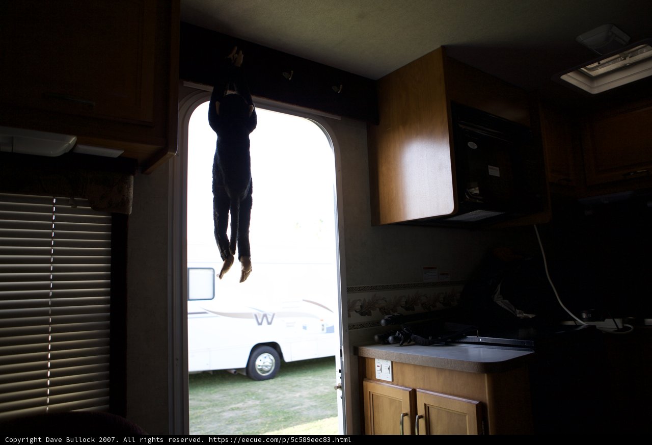 Hanging by a Window