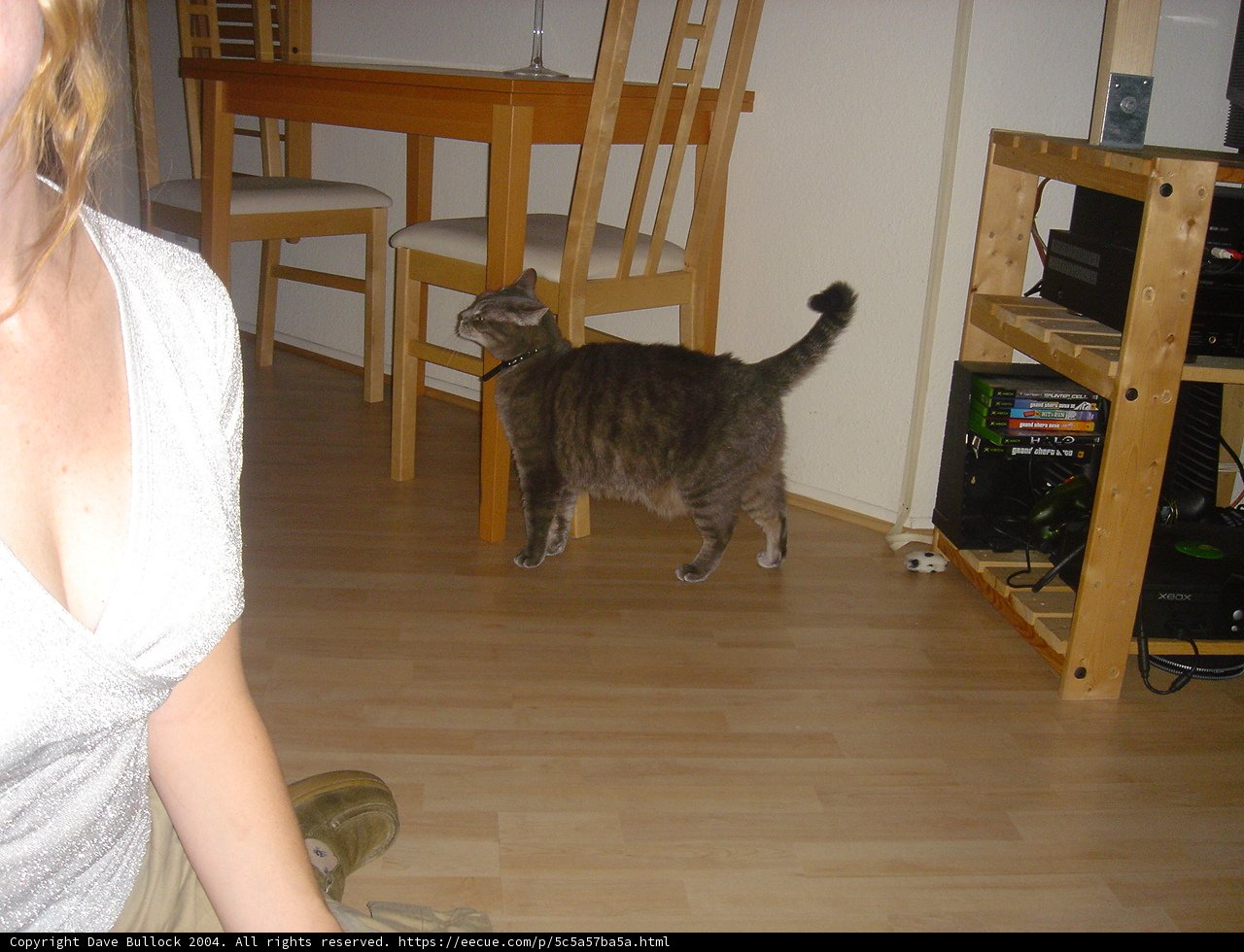 Woman and Cat in their Wood and Hardwood Paradise