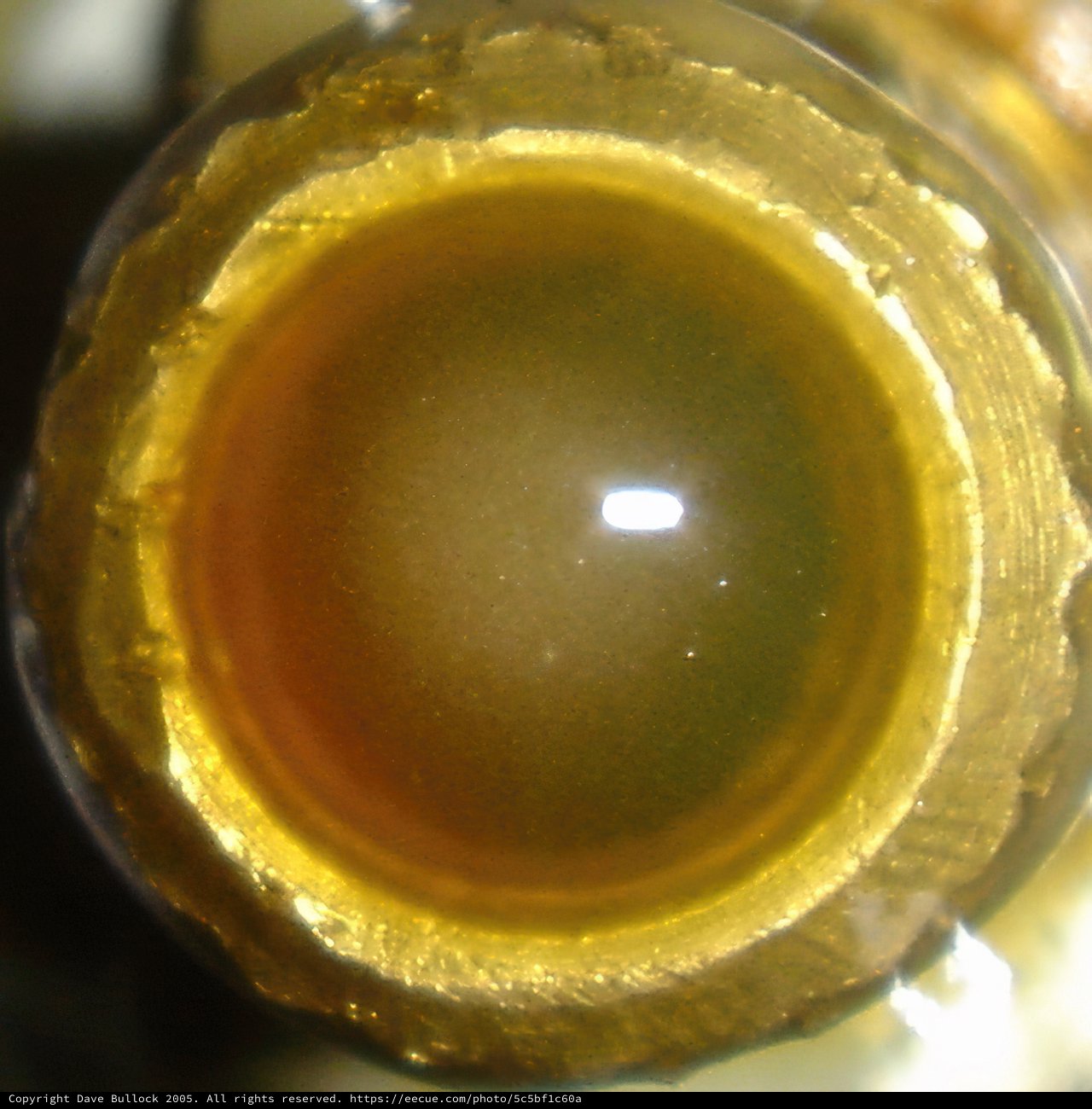 The Golden Elixir