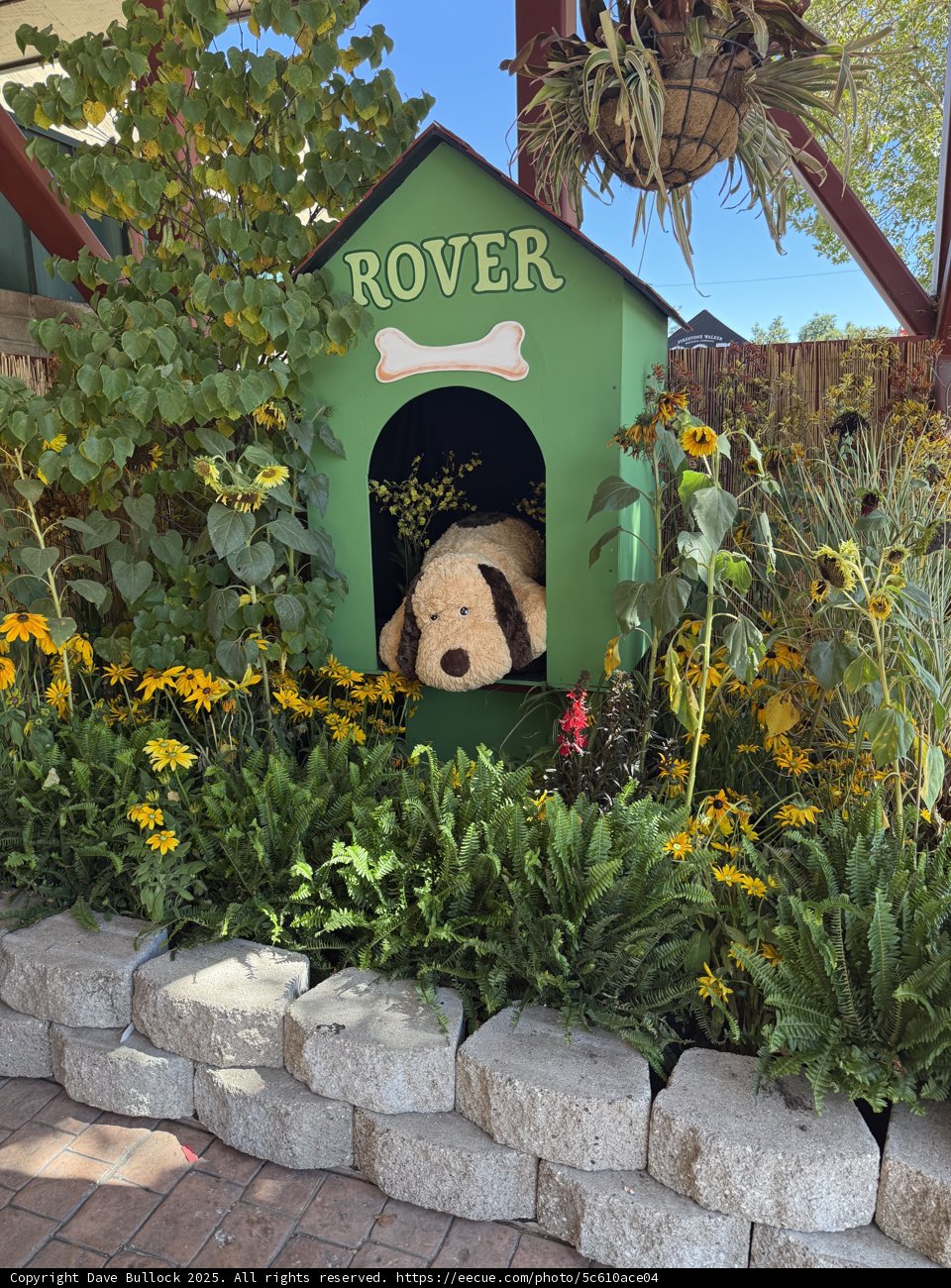 Garden Hideout: A Furry Companion in Bloom
