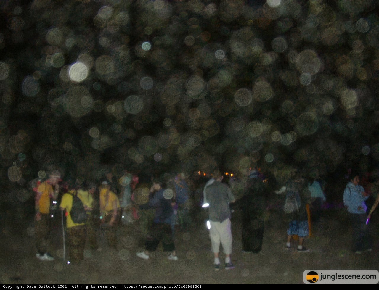 Nighttime Gathering in the Field