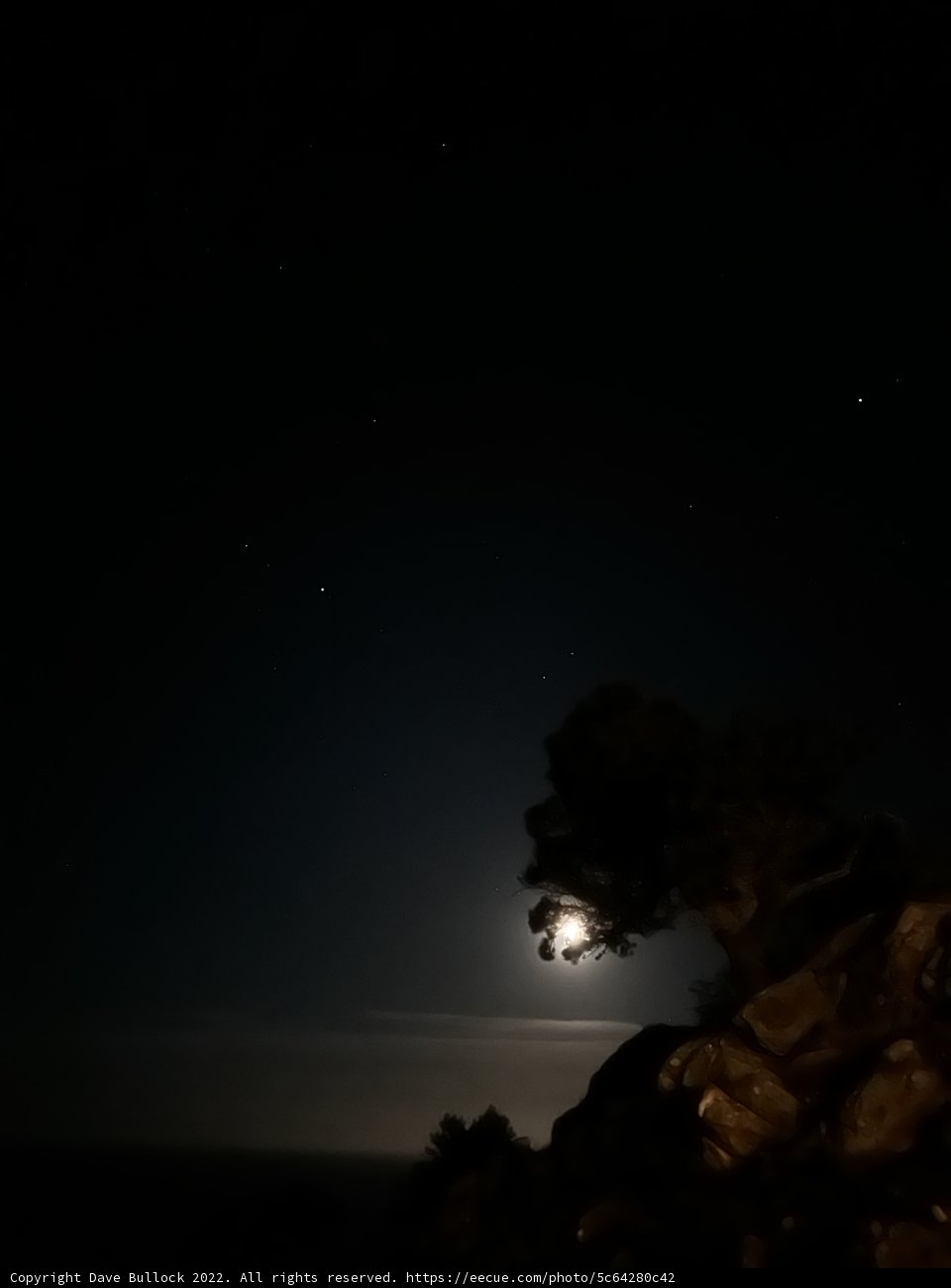 Moonlit waters