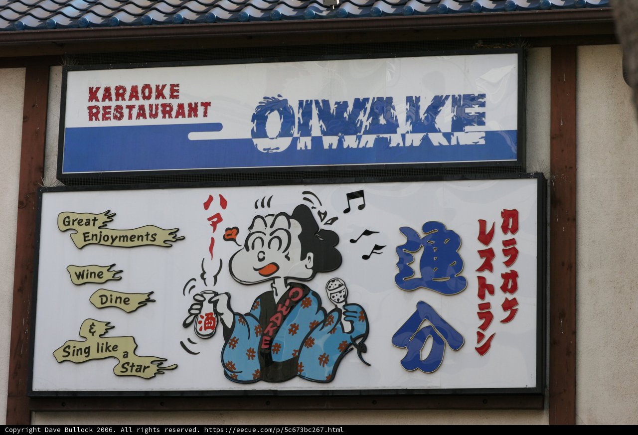 Karaoke Fun in Little Tokyo