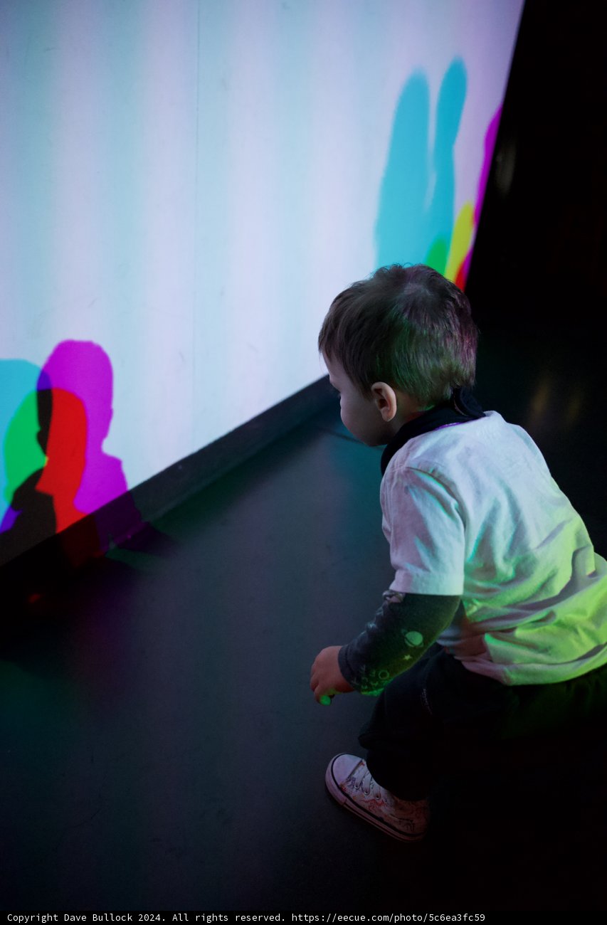 Unveiling Colors of Curiosity