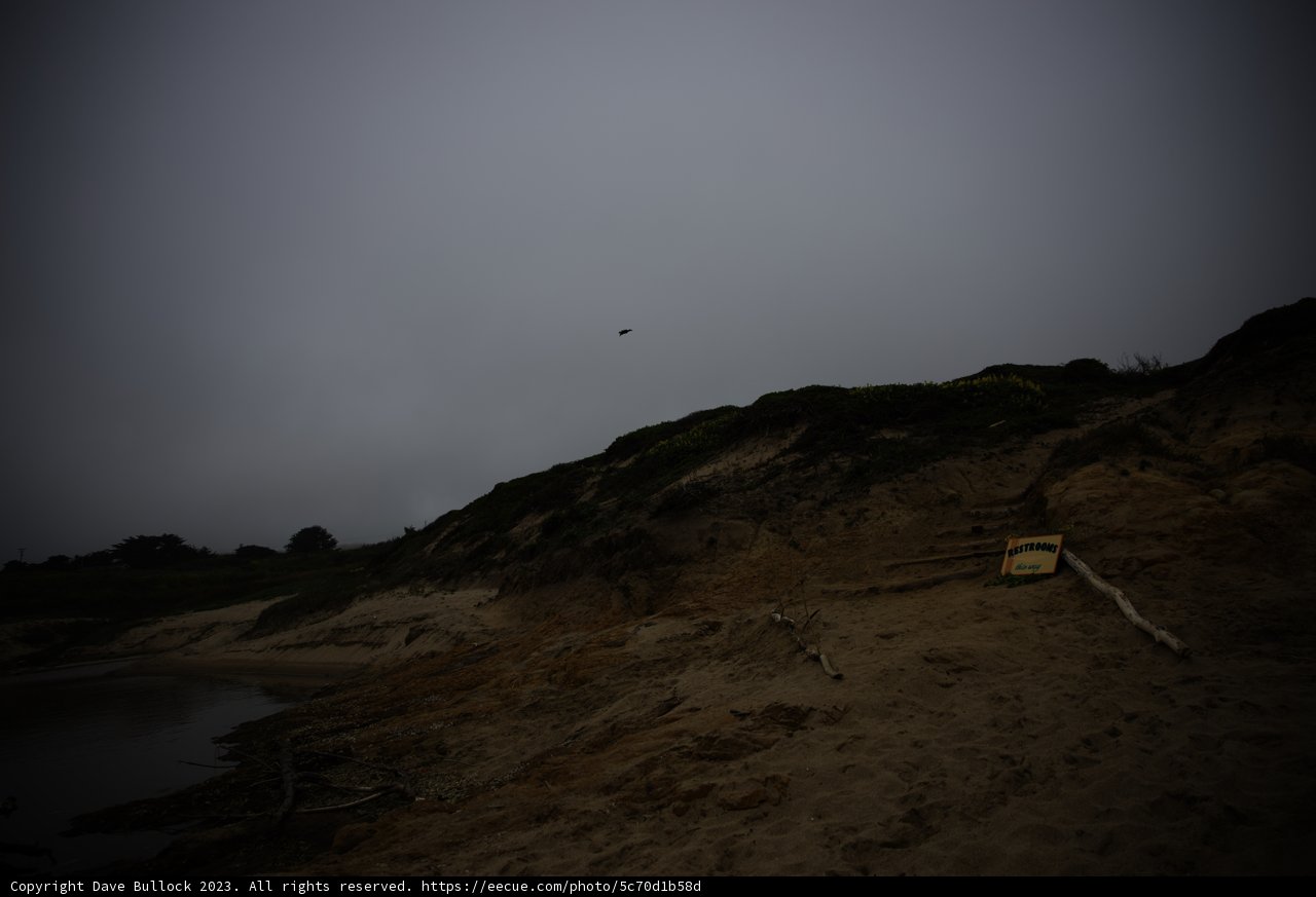 Soaring Spirits at Pescadero Beach