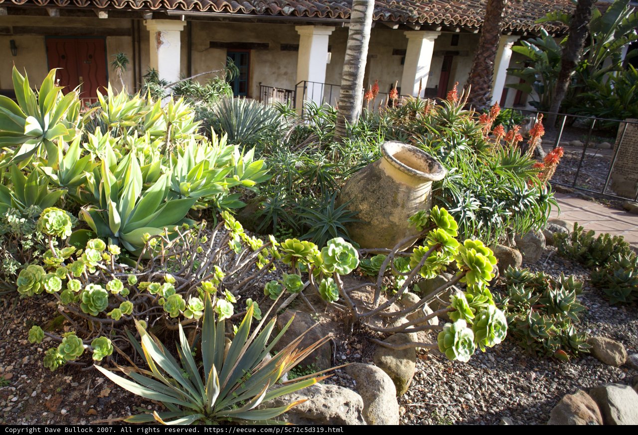 Lush Foliage and Striking Rocks in Garden Oasis
