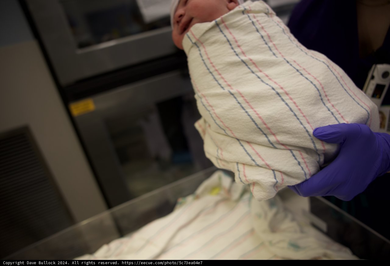 Welcome to the World, Leland