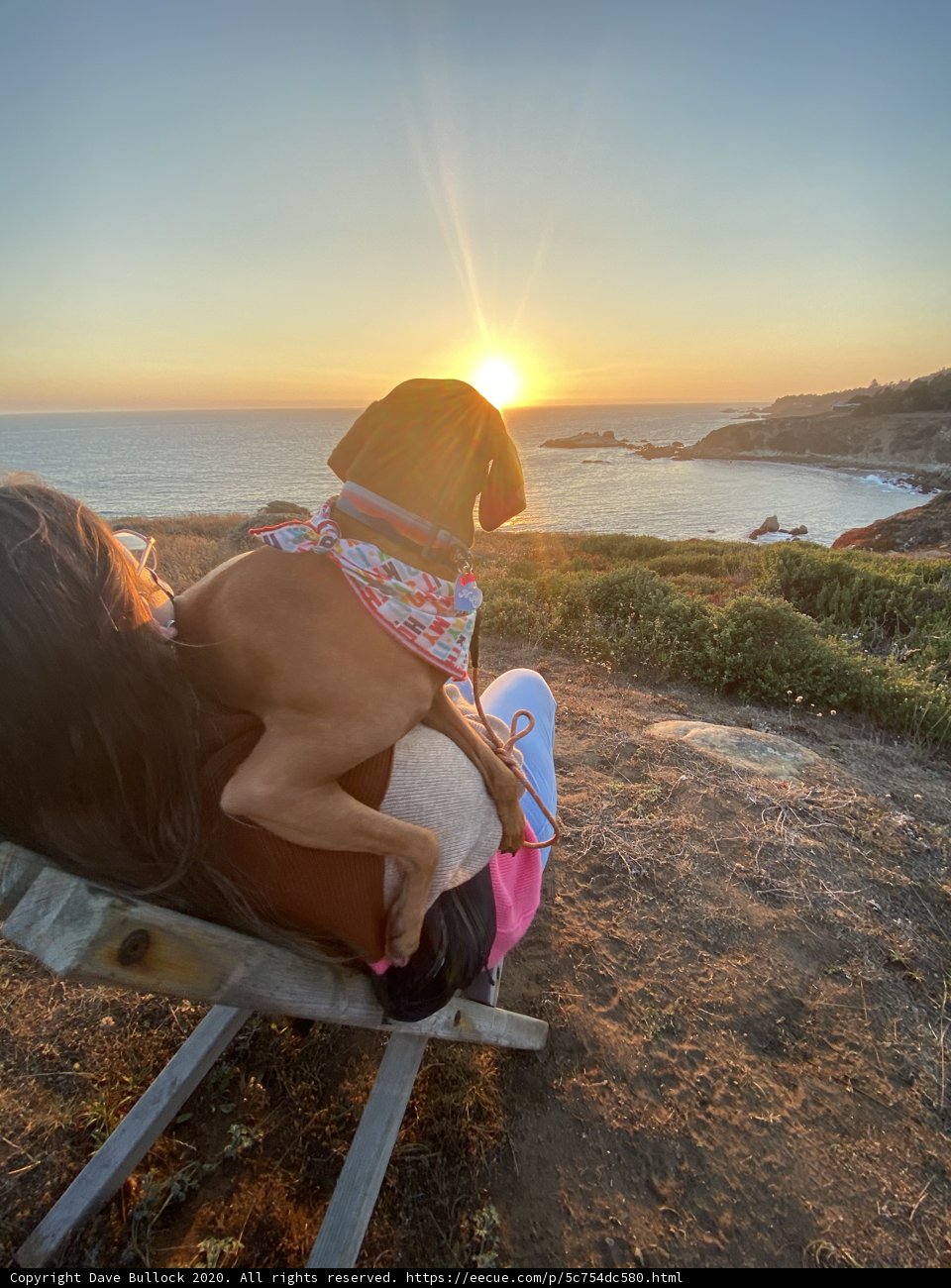 Sunset Serenity with Furry Friend
