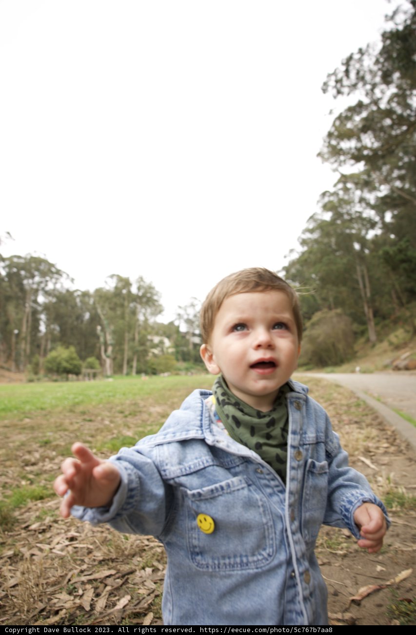 A Walk to Remember: Celebrating Wesley's 5th Birthday