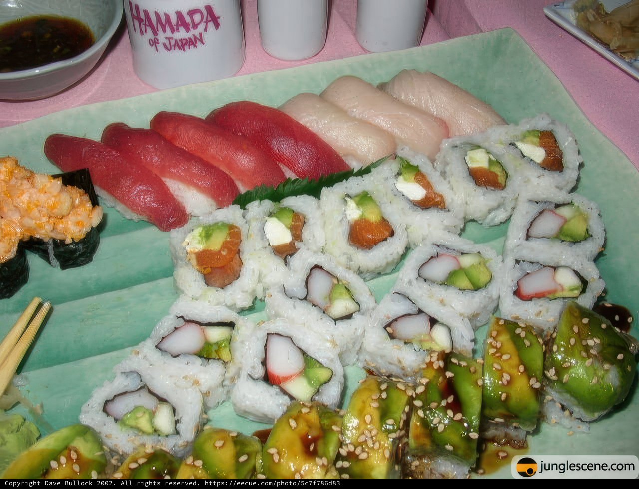 Savoring the Variety of Sushi