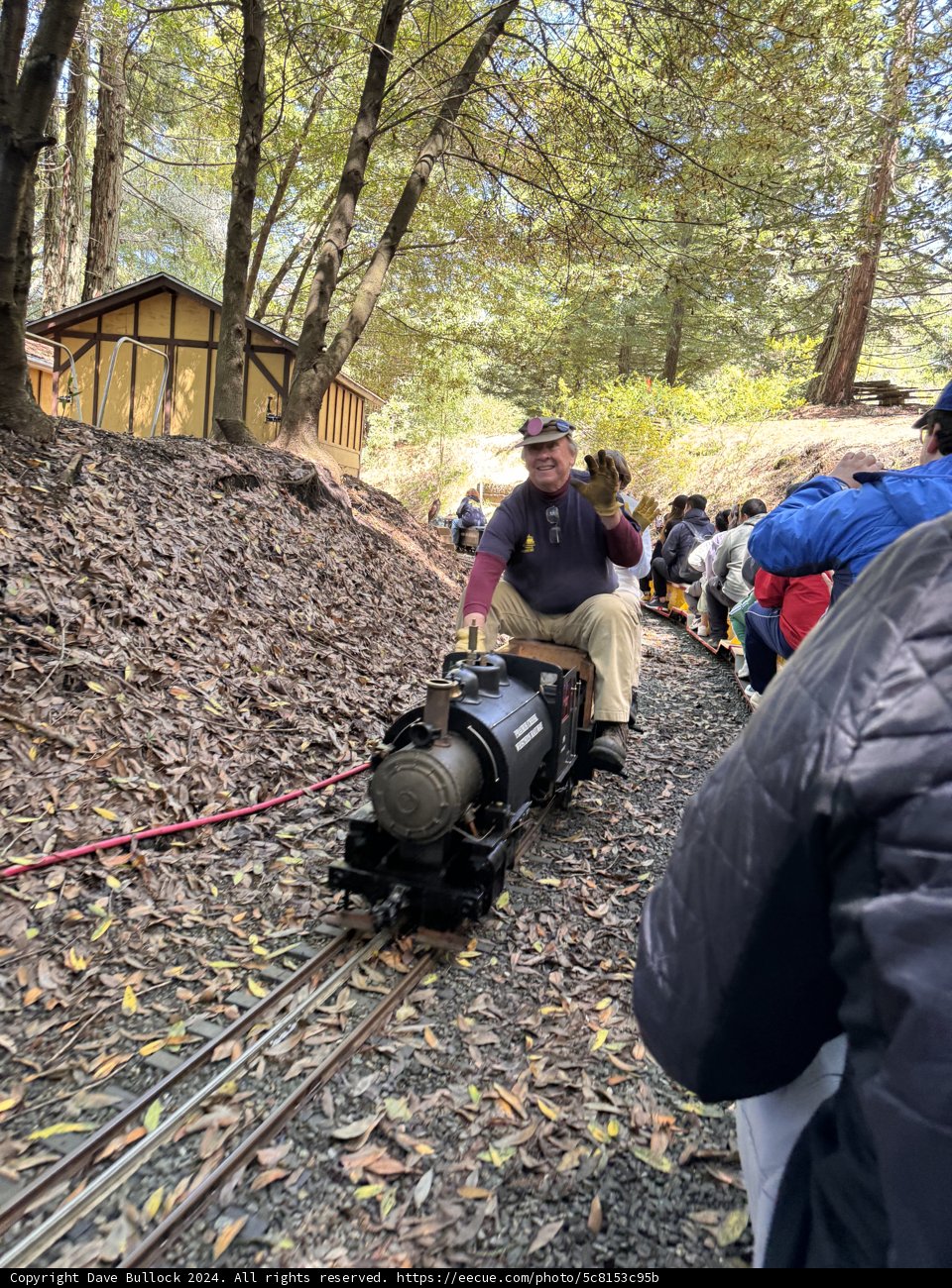 A Whimsical Ride Through Tilden