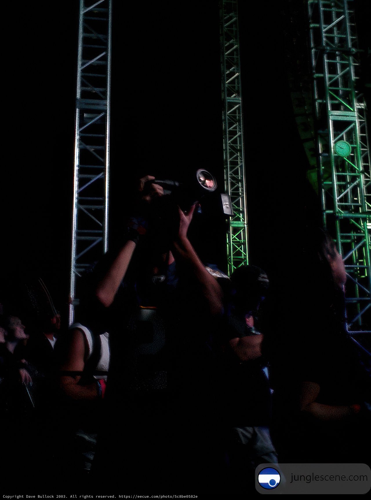 Capturing the Moment at Coachella