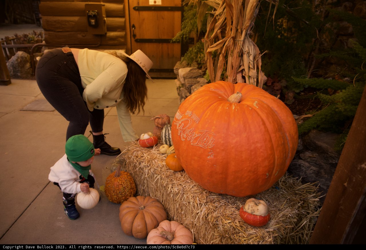 Harvest Day in Big Sur: Mother and Son Pumpkin Picking