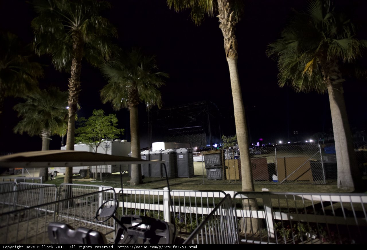 Nighttime Oasis