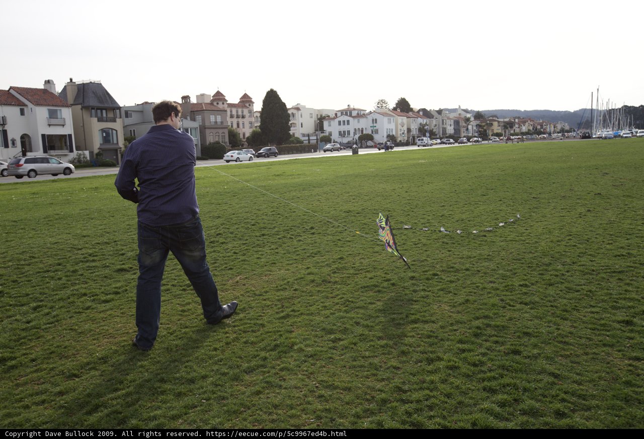 Kiting in the Green Grass Fields