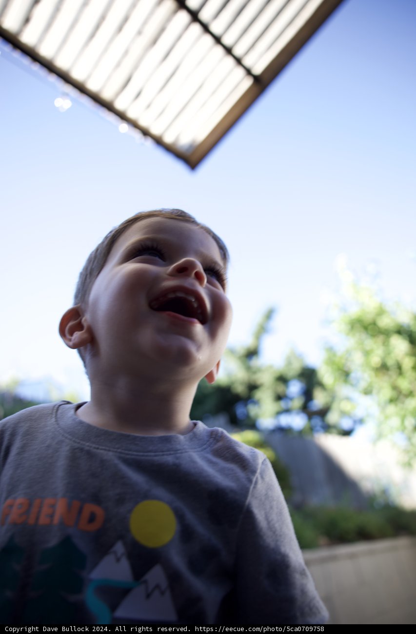 Pure Joy Under the Sun