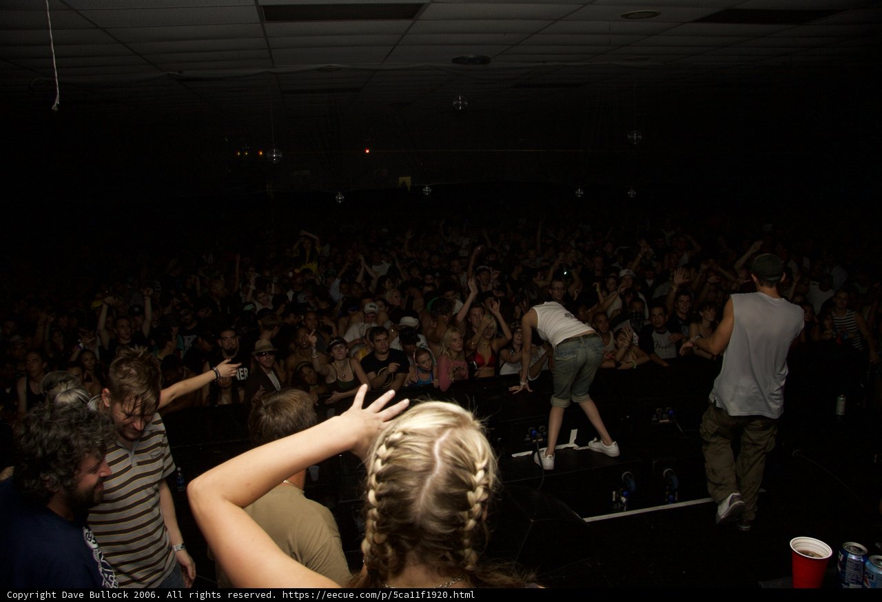 Concert-goers Raise Hands to the Beat