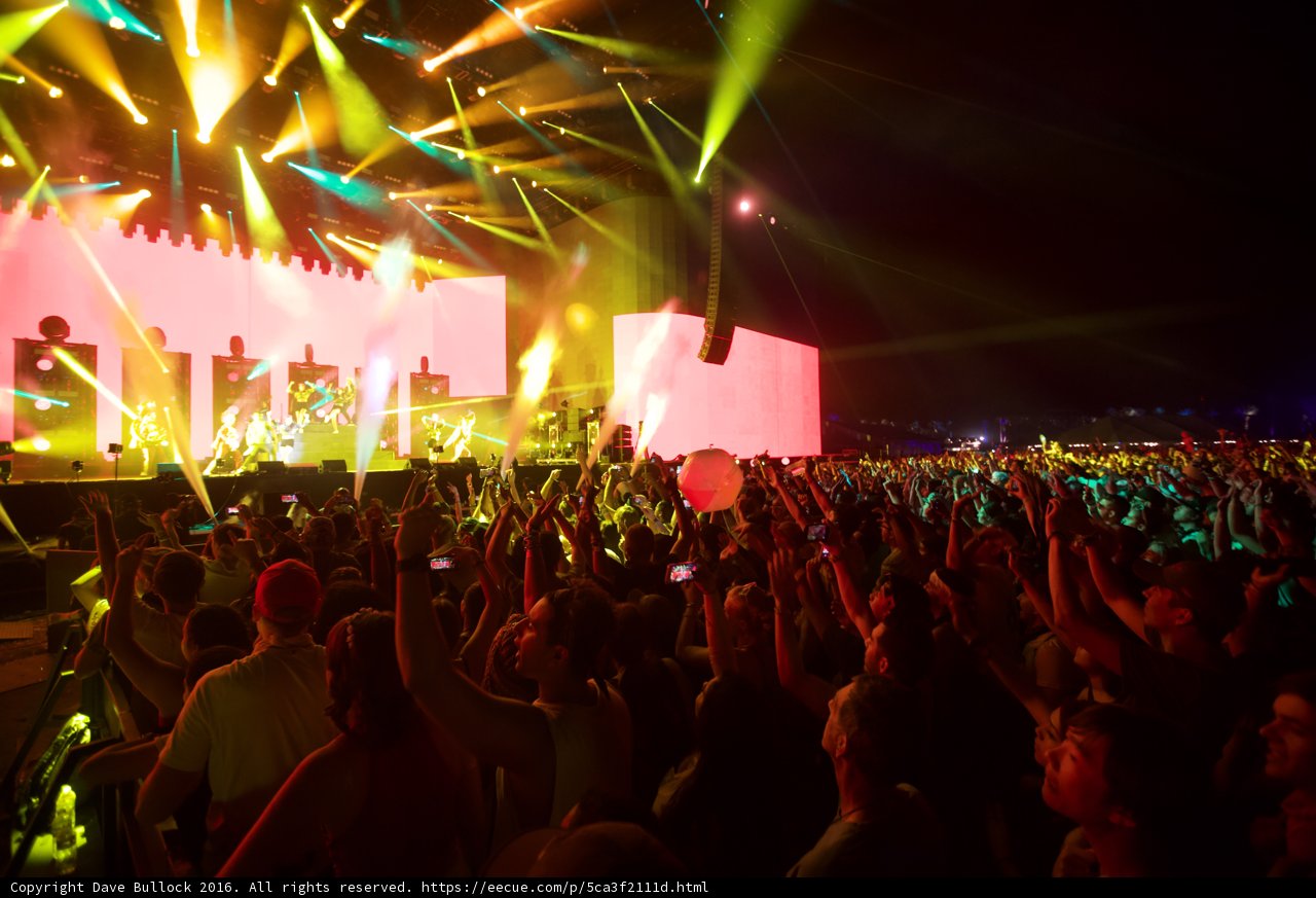 Bright Lights, Big Crowd