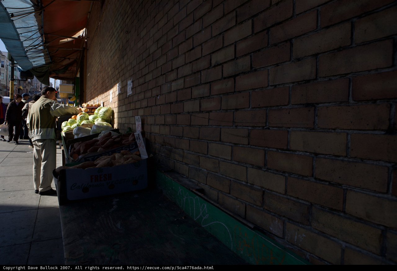 Man by the Brick Wall