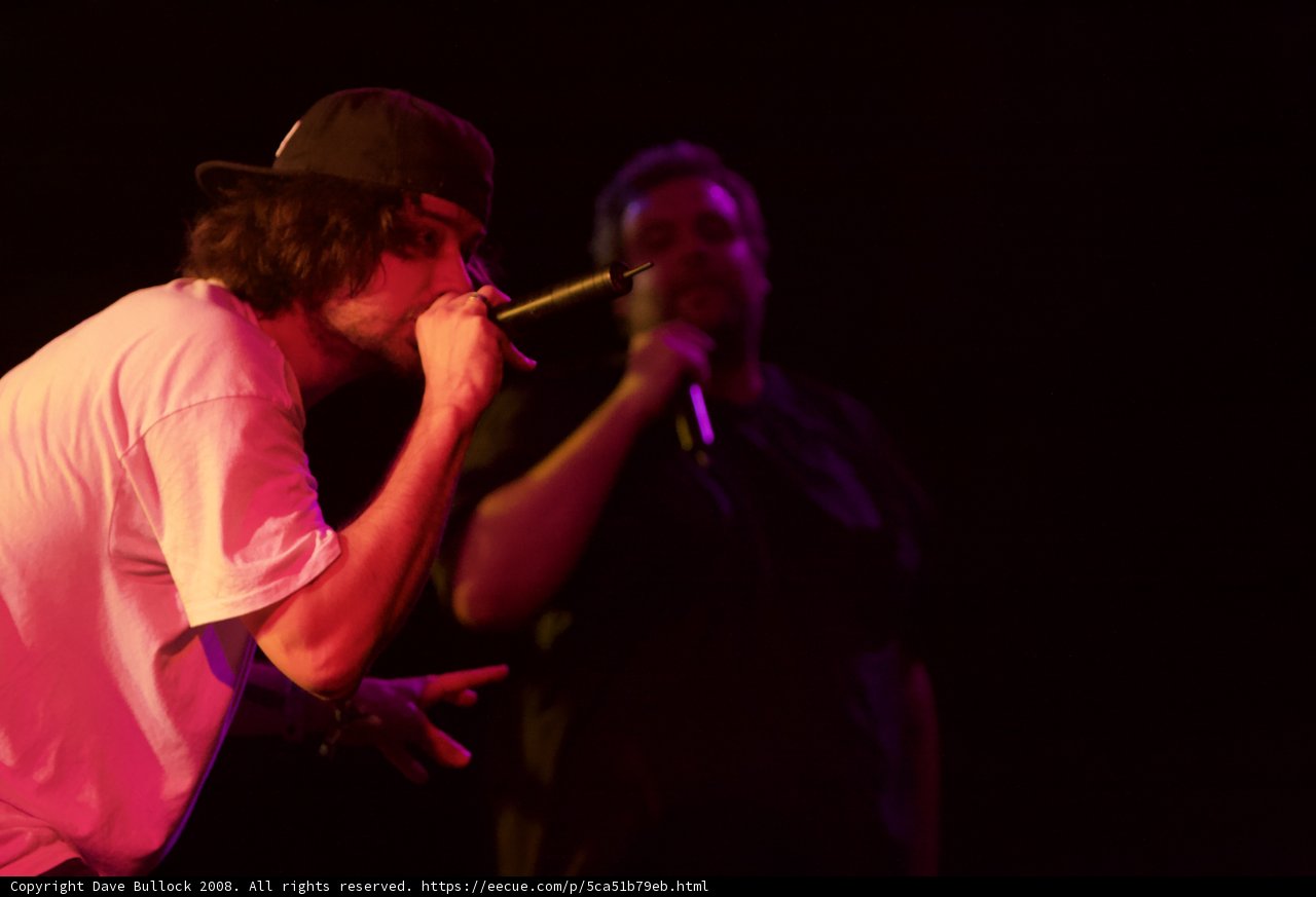 Soulful Sounds at Coachella '08