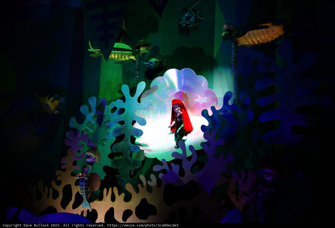 Magical Encounter with Ariel