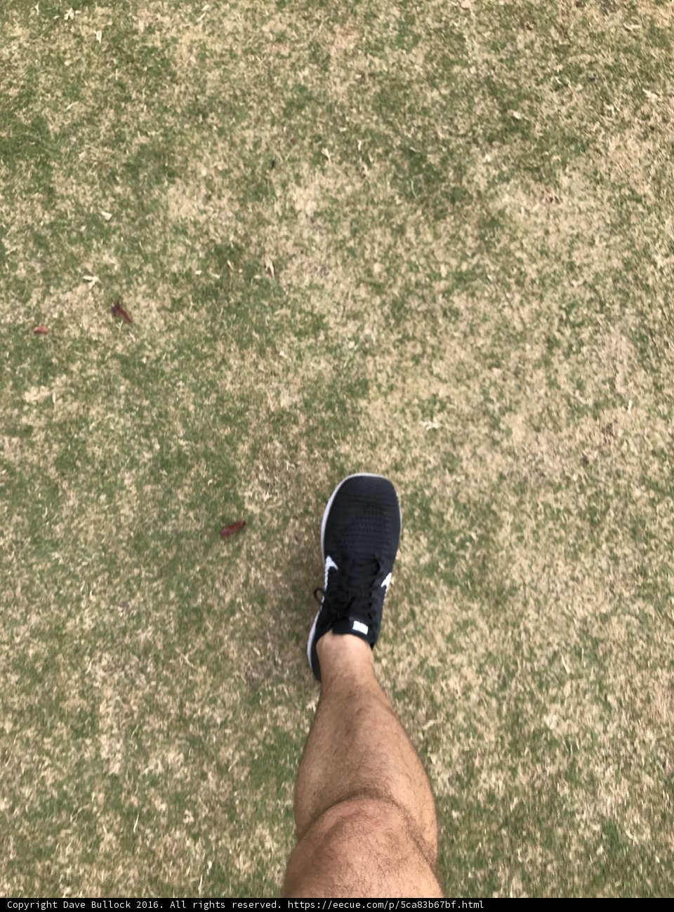 Black Shoes on Green Grass