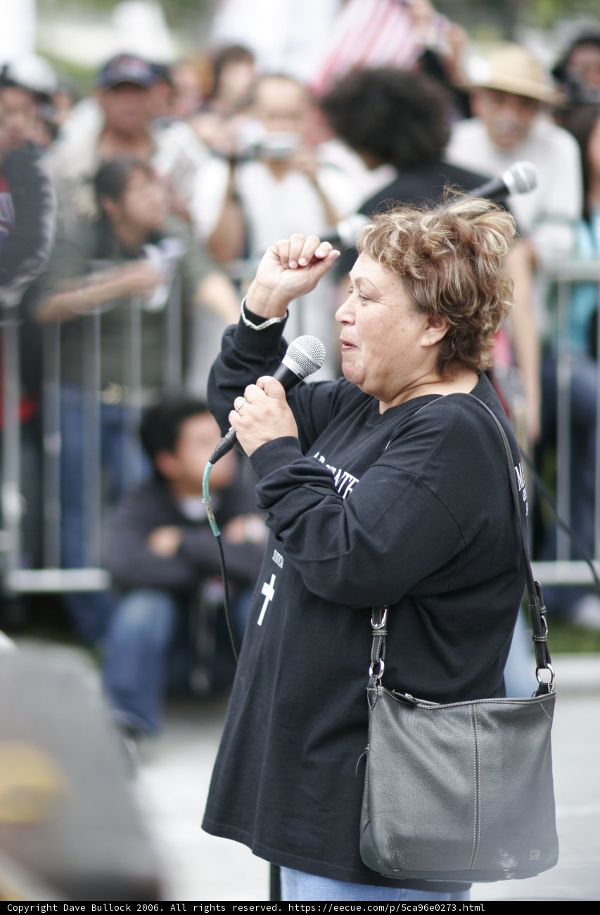 Protester's Voice