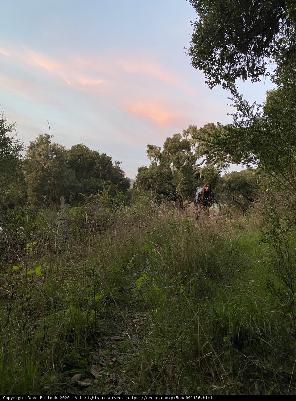 Cycling through the Wild Grasslands