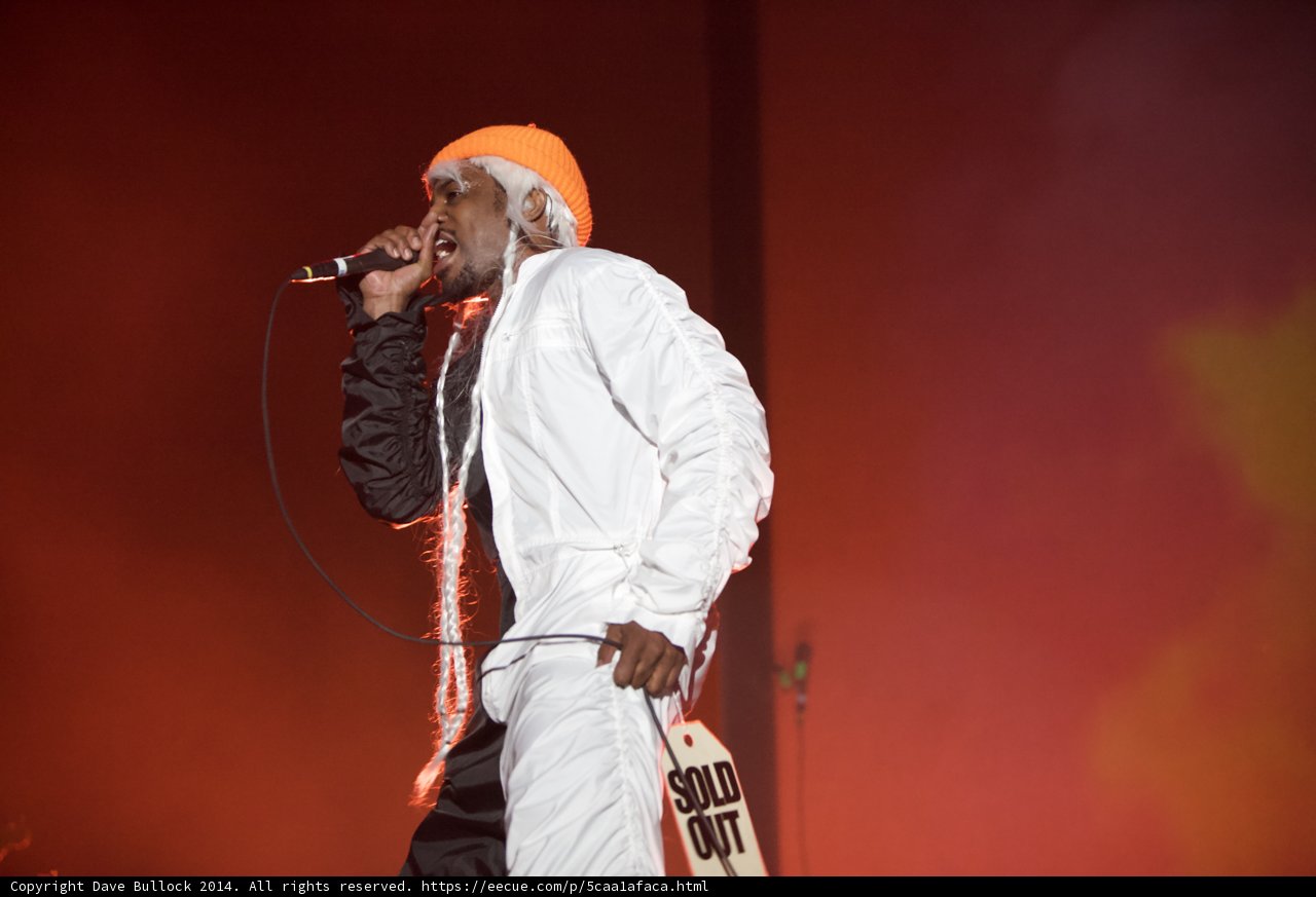 Orange and White Performer