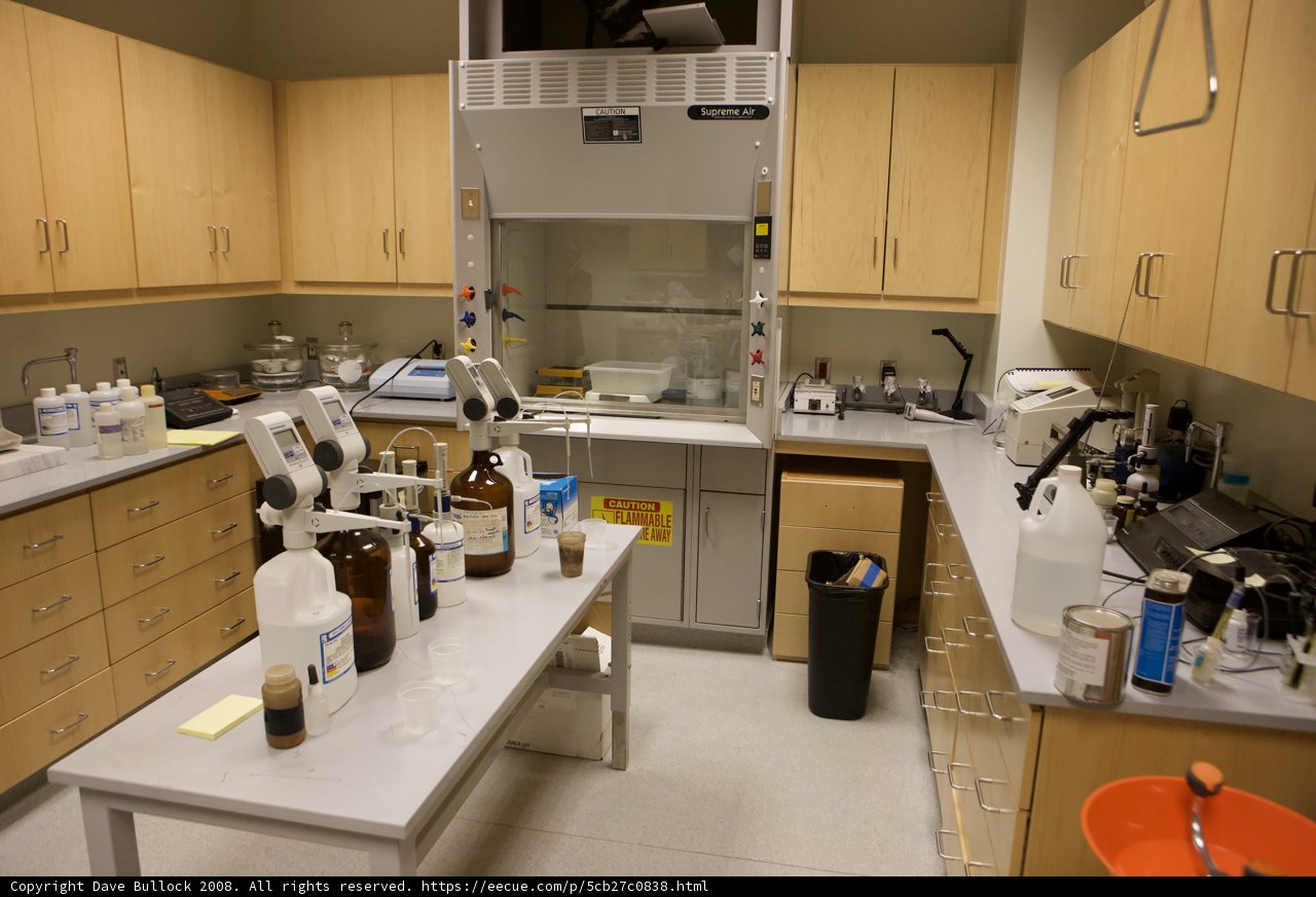 Organized Kitchen Cabinetry