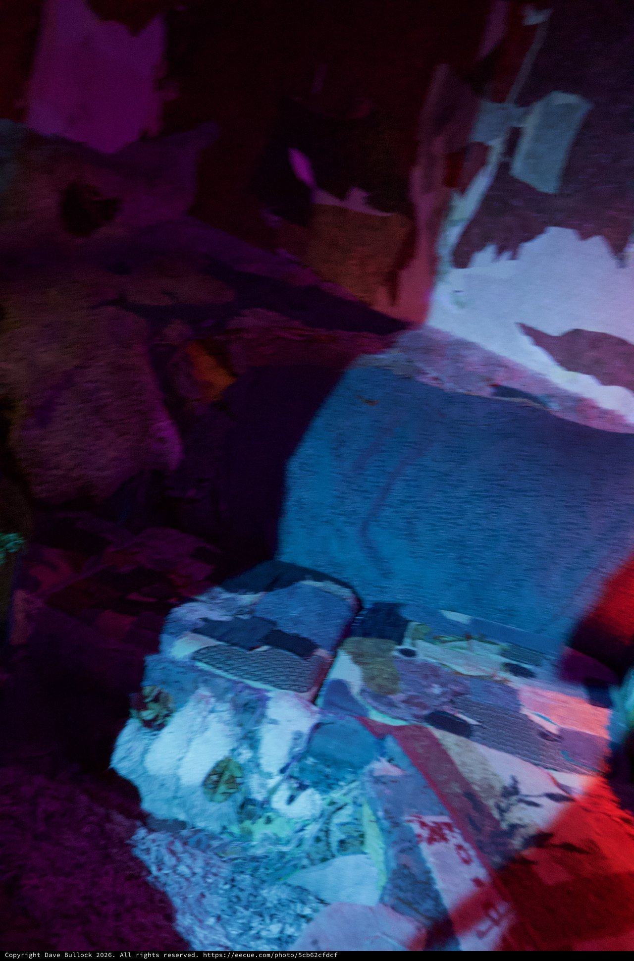 Stuffed Animals Reading Books in Purple-Blue Light