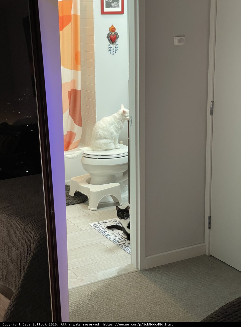 Purrfect Bathroom Decor