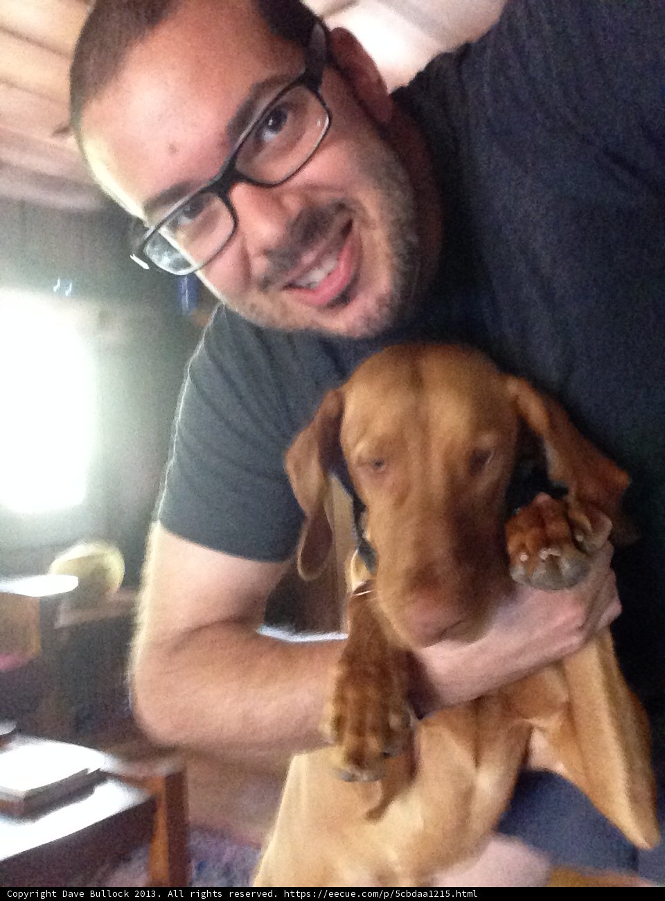 Man and his furry friend captured in a portrait