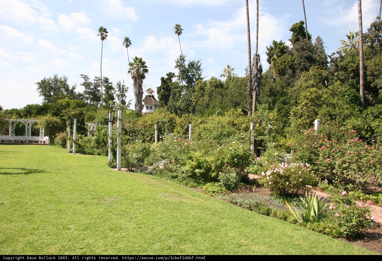 Serene Garden Oasis