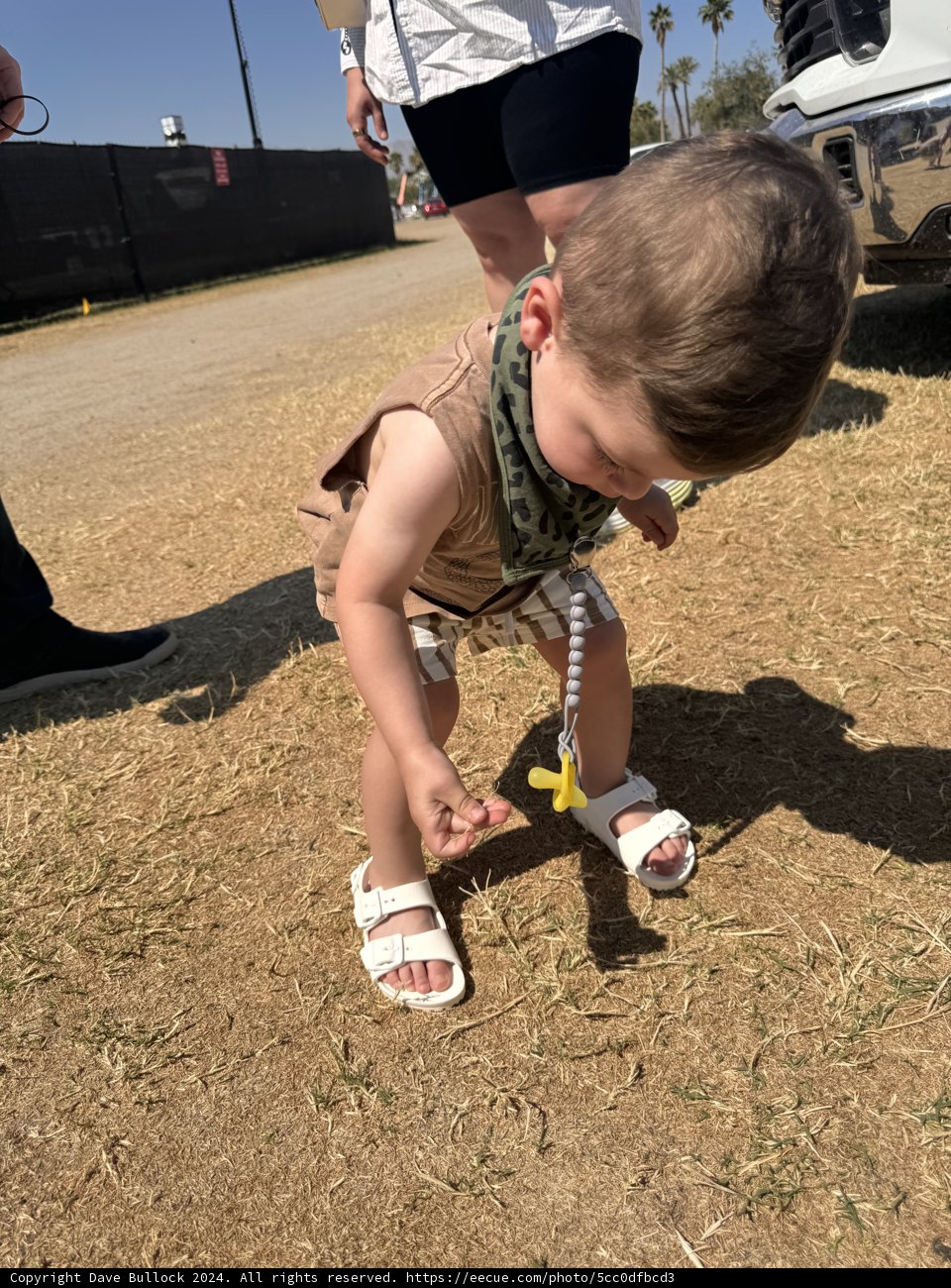 Little Explorer at Play