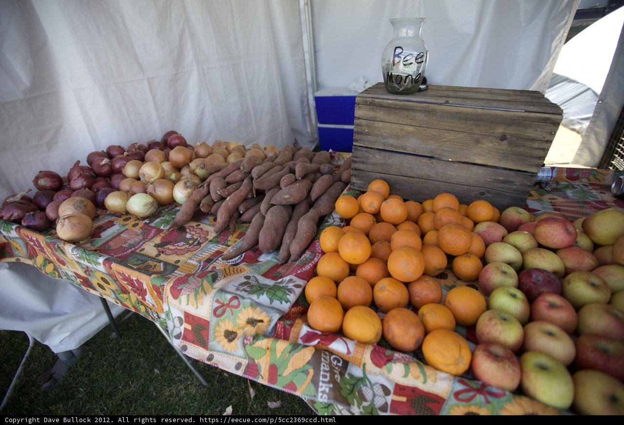 Fruit Feast at Coachella