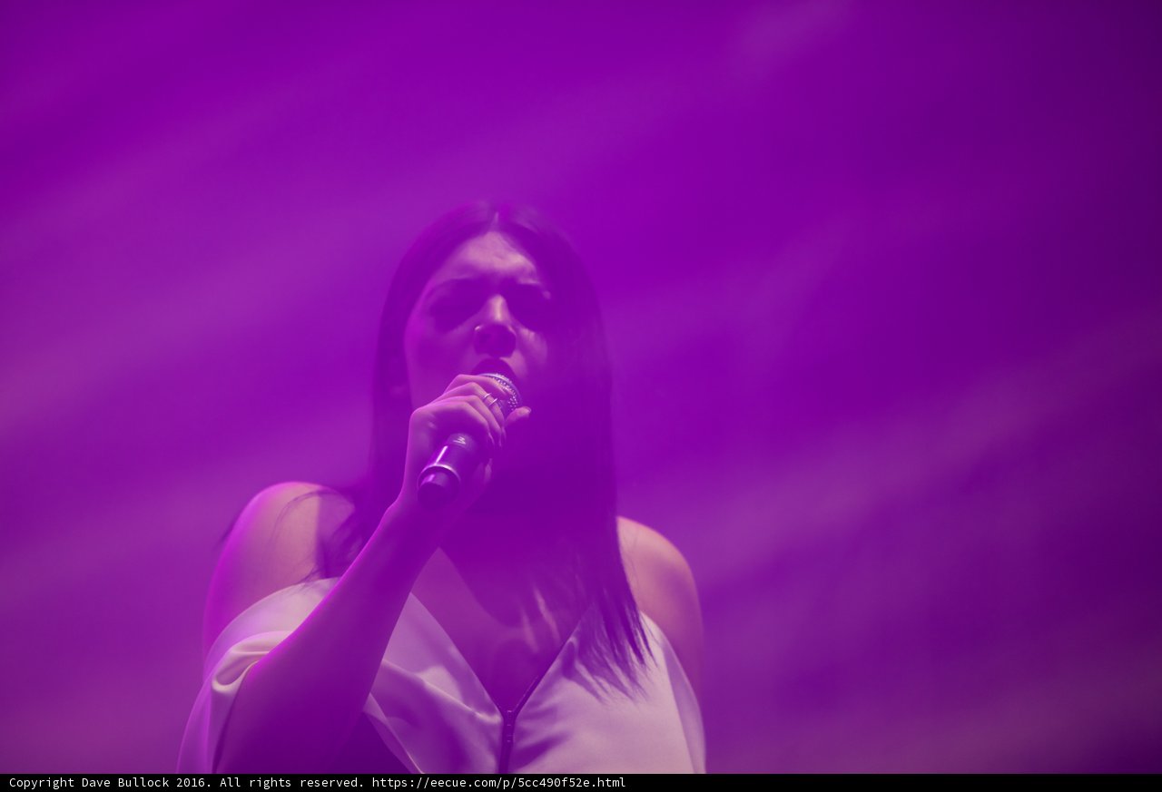 Purple Haze Solo
